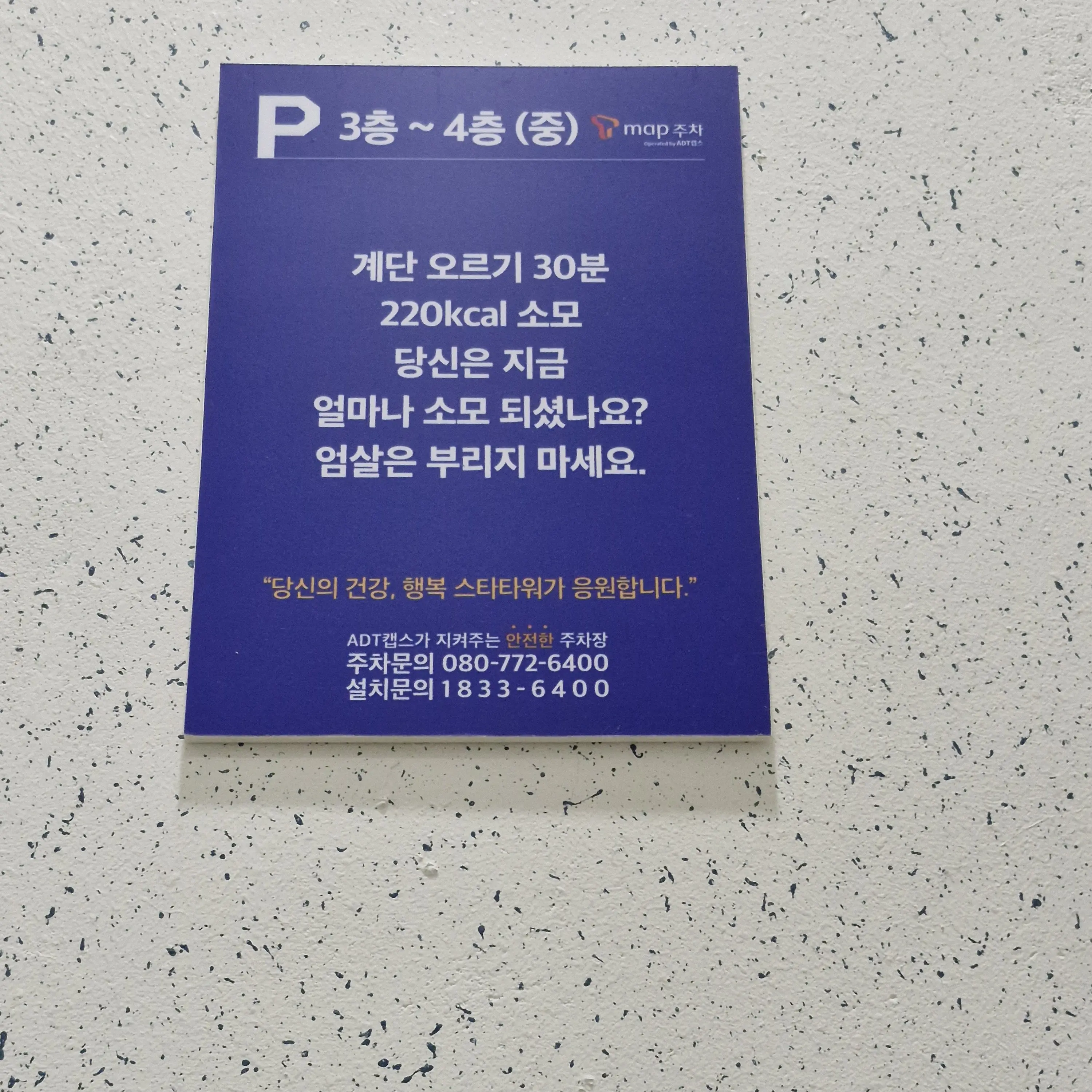 DH.skrrr의 정아현