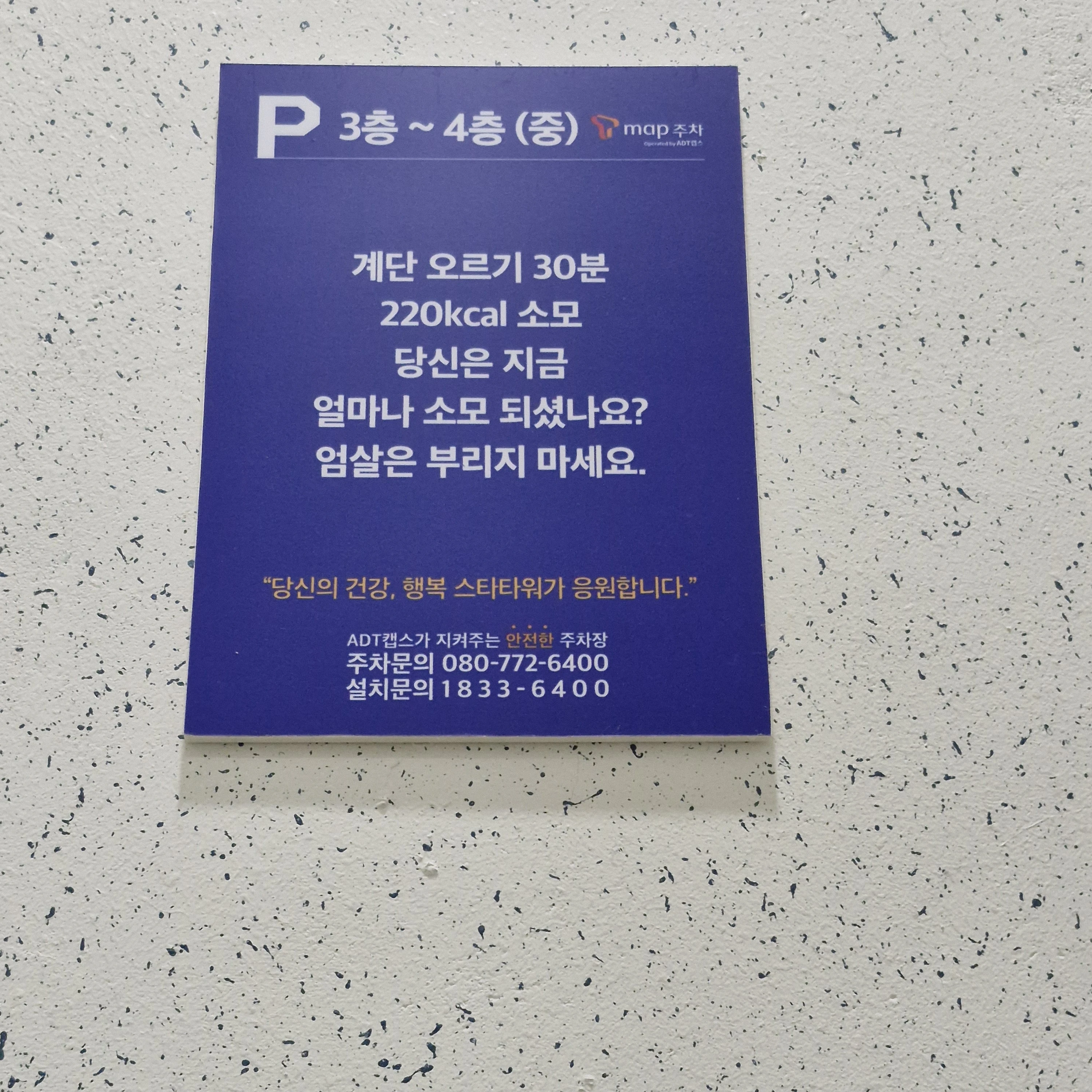 정아현