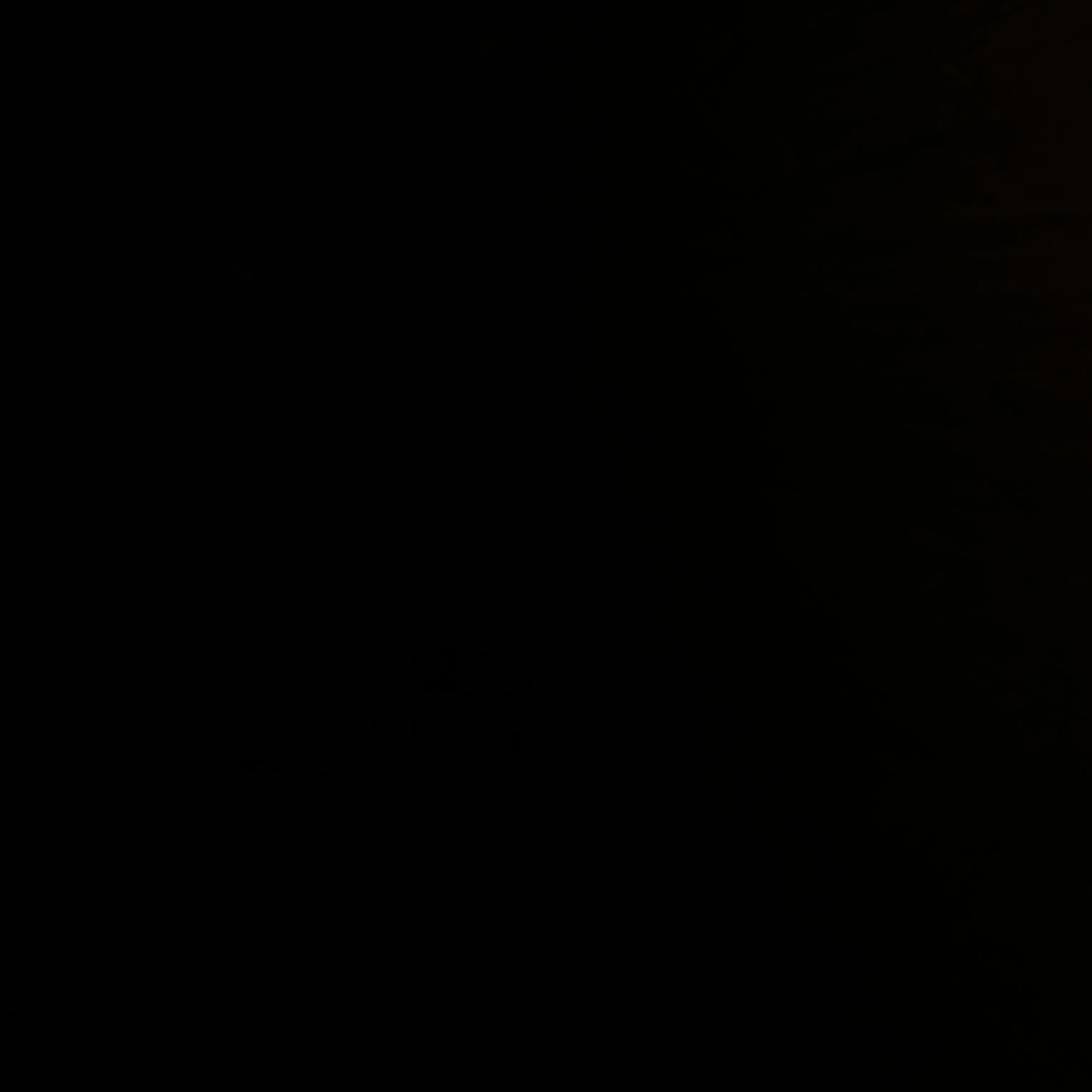 FatalAnkle7504의 Dylan Ford