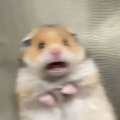 Profile image of 일찐2