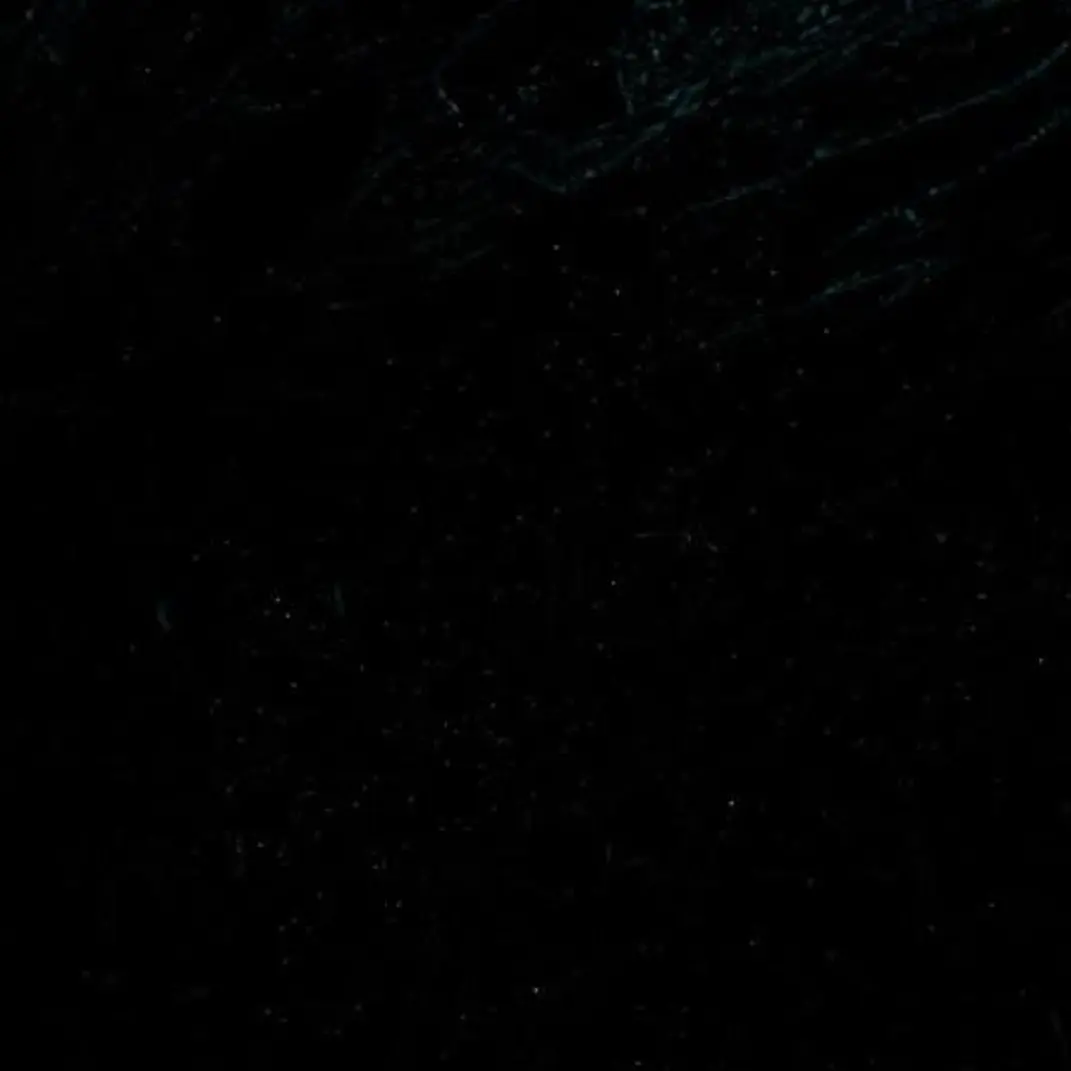 leehaneee의 프라이멀 시티