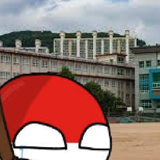 컨트리볼 유럽-아프리카 학교 대표 이미지