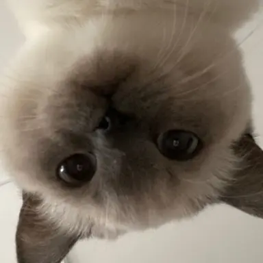 Profile image of 여친