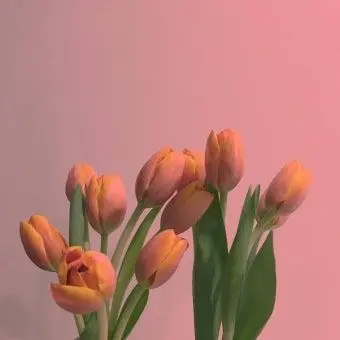 Profile image of 박덕개