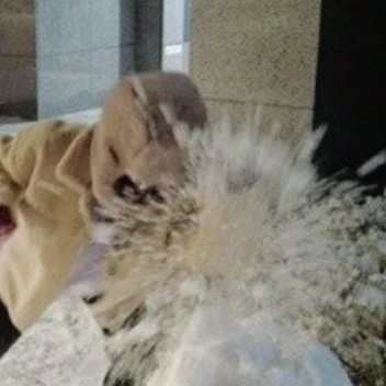 눈사람 킬러