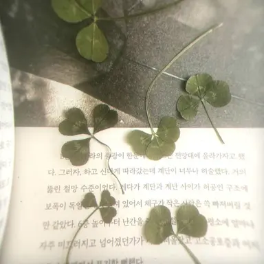 Profile image of 강단호