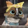 Profile image of Perrito