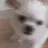 해석자