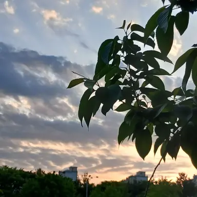 Profile image of 마주