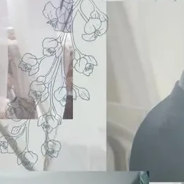 照