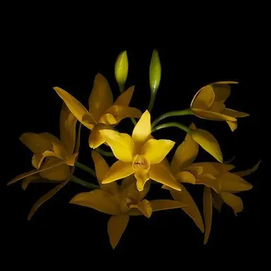 Profile image of 김각별