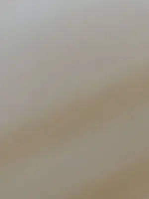 satounoakaunnto의 ケモショタハーレム