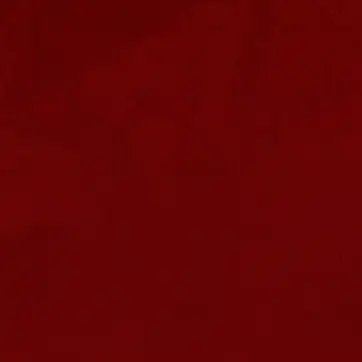 Profile image of 竹中天珠