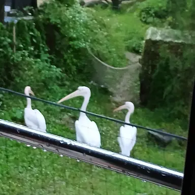 Profile image of ㅈ-ㅎ-근