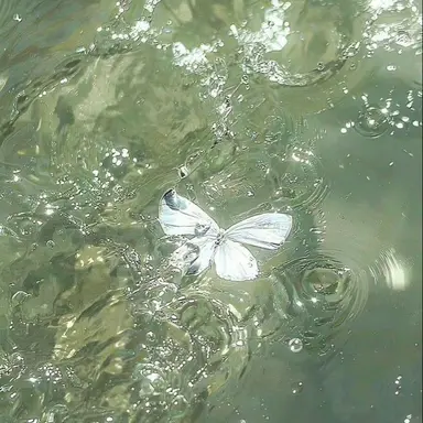 Profile image of 유하민