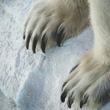 Profile image of 한솔