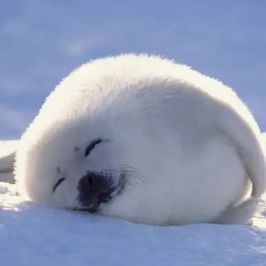 Profile image of 권수진