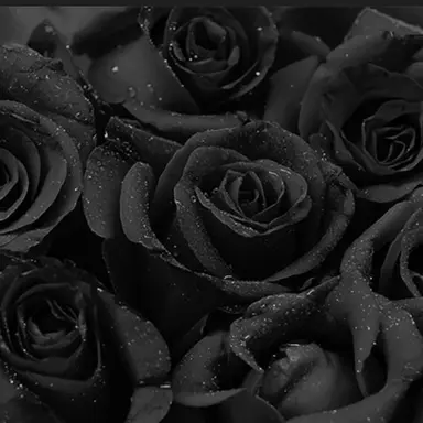 Profile image of 玄武