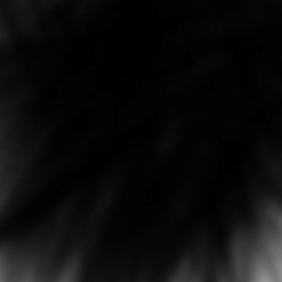 로티슨