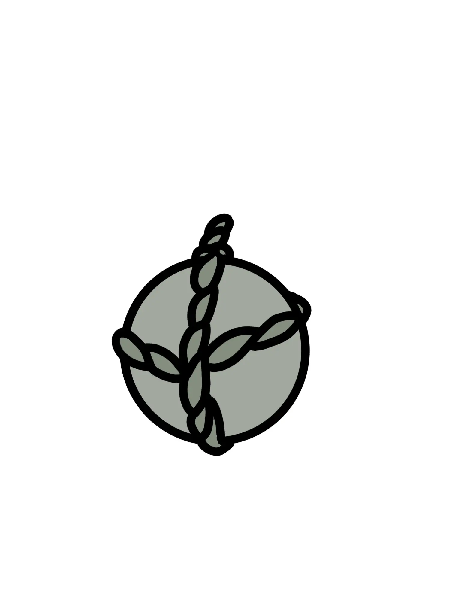 Panako의 同じクラスの羽丹羽くん。