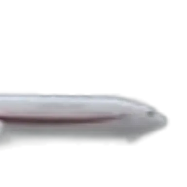 Profile image of 777