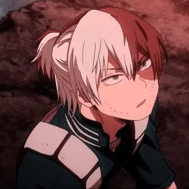 Profile image of Shoto Todoroki