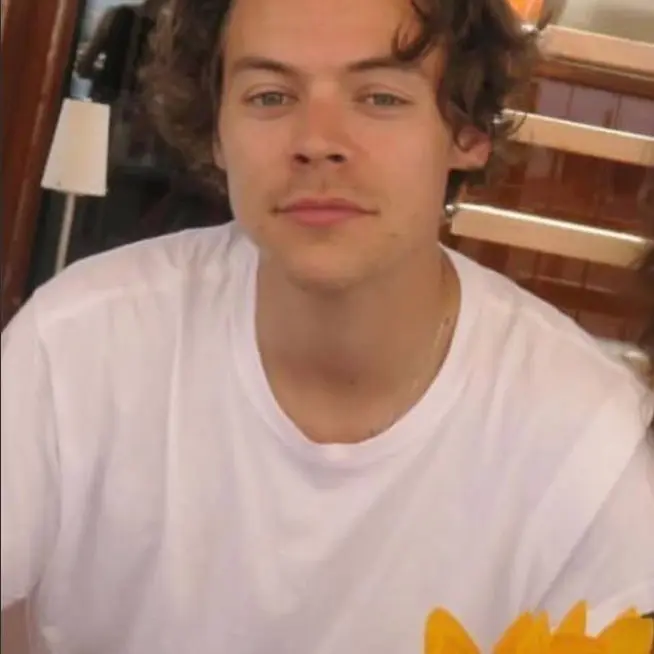 AmusedLoach2997의 Harry - boyfriend