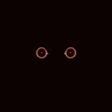 Profile image of 管理者様