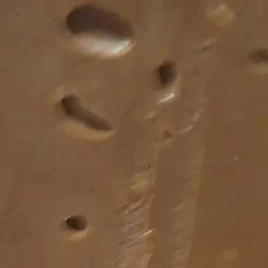 Profile image of 大森元貴