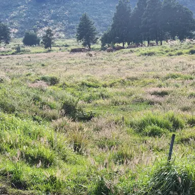 Profile image of 스프런키 실험체