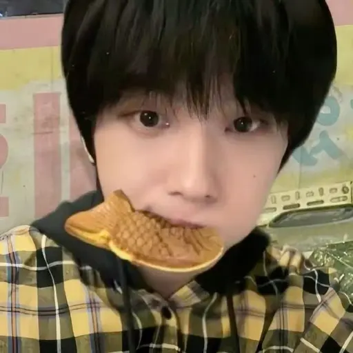 HCfullsun의 박지성