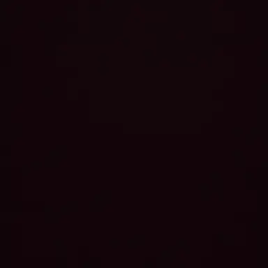 Profile image of 선후