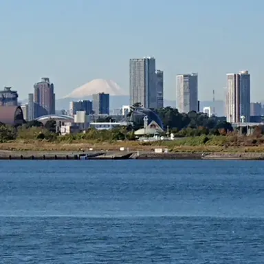 Profile image of 監督