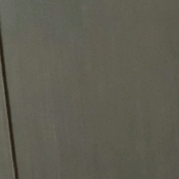 정서한