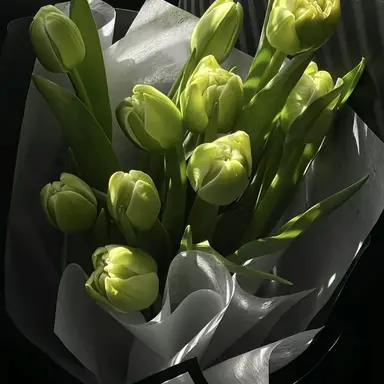 Profile image of 로보 프로스터