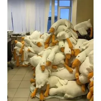 Profile image of 널 괴롭힌 오리들