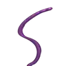 Profile image of 触手