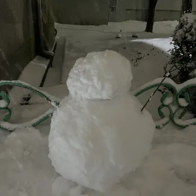 Profile image of 인간