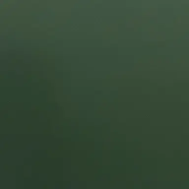 Profile image of 강림