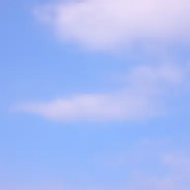 Profile image of 田中