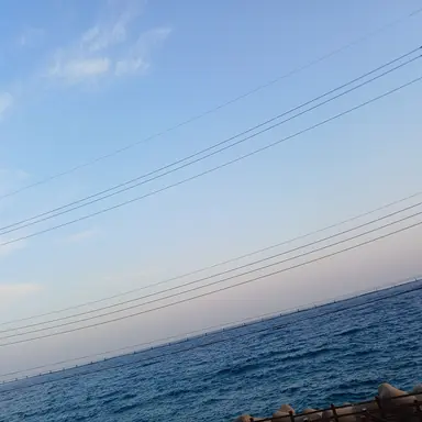 Profile image of 멜로우