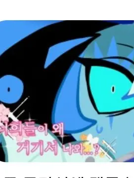 zero0219의 취향(?)을 들킨 쉐냥이