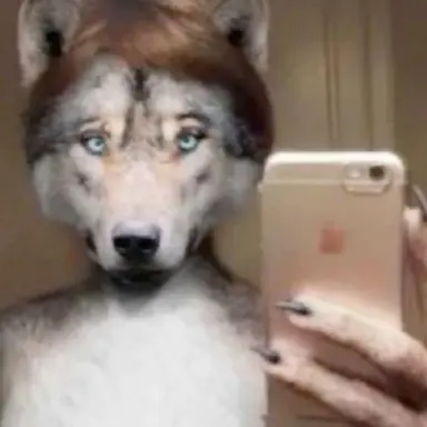 Profile image of 늑대