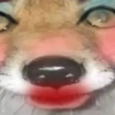 Profile image of 여우