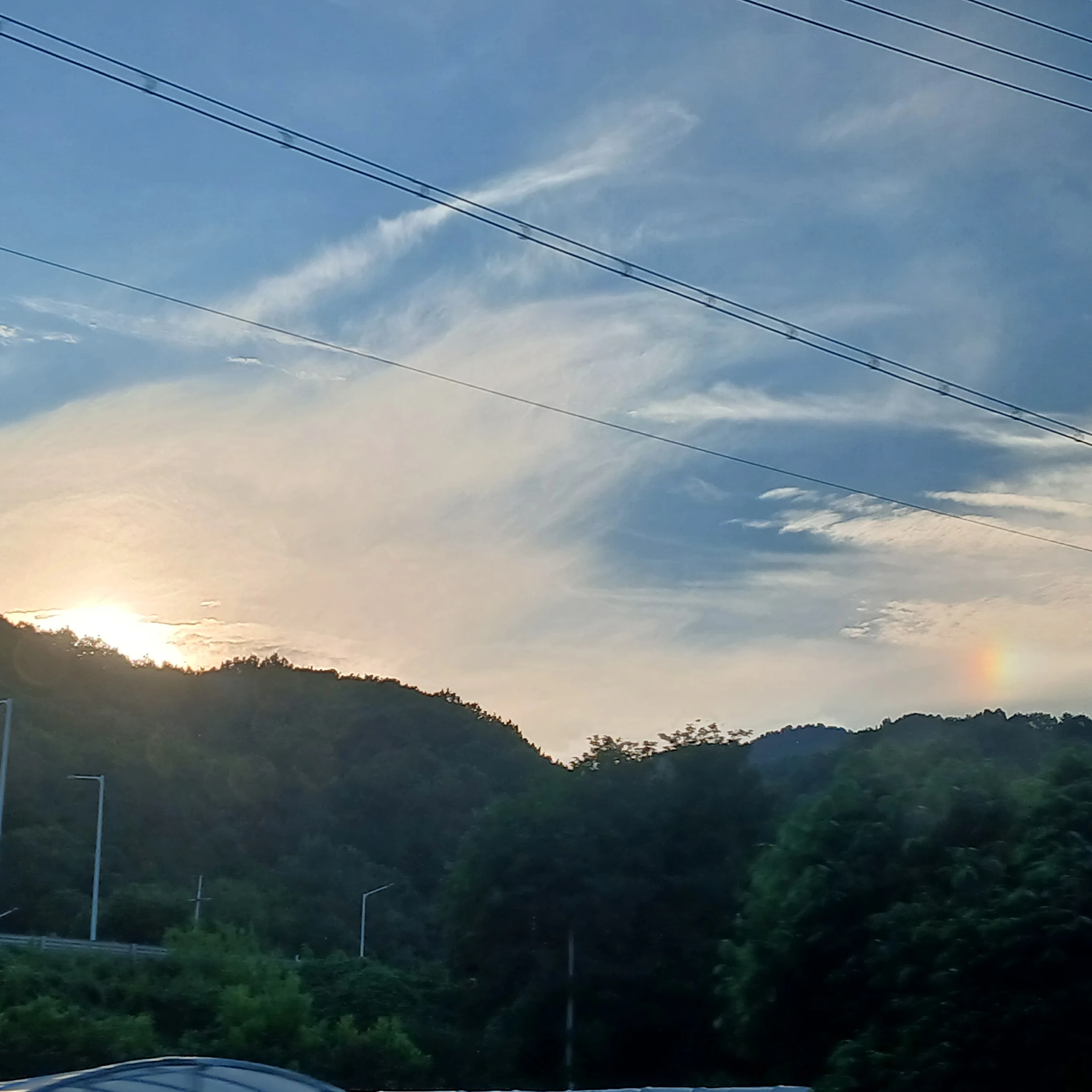 6학년