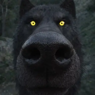Profile image of 늑대