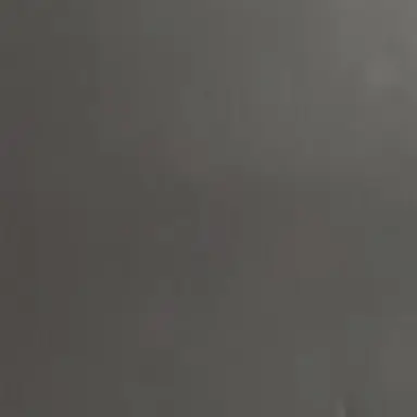 Profile image of 白岩瑠姫