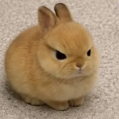 Profile image of Soobin