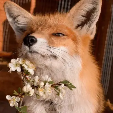 Profile image of Yeonjun