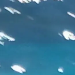 Profile image of 이상혁